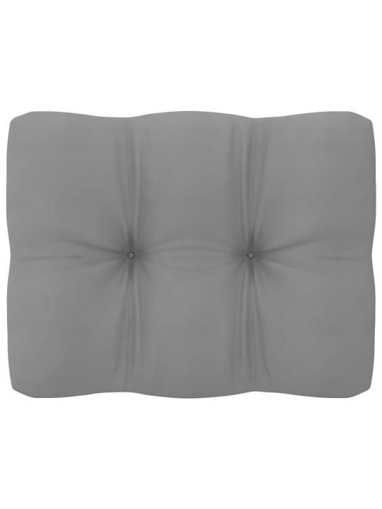 Keturvietė sodo sofa su pagalvėlėmis, pušies medienos masyvas