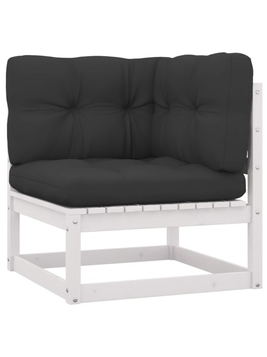 Keturvietė sodo sofa su pagalvėlėmis, pušies medienos masyvas