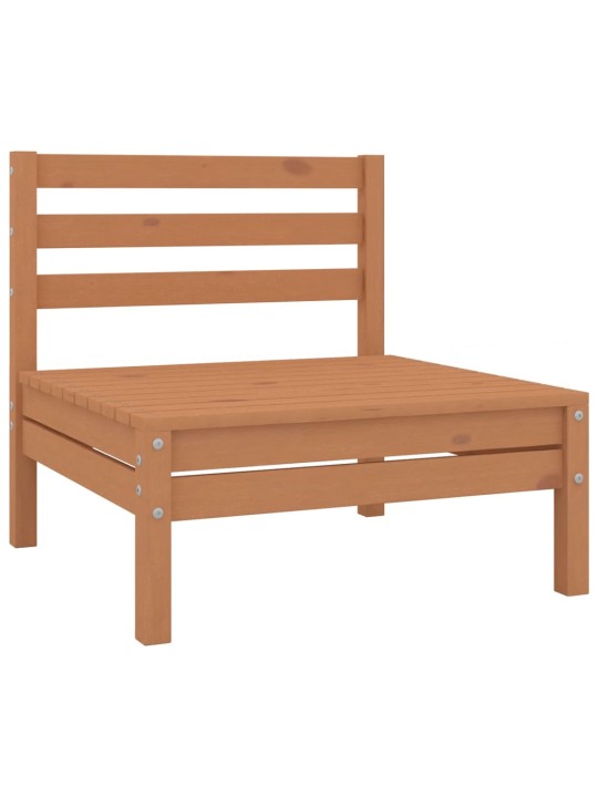 Dvivietė sodo sofa, medaus ruda, pušies masyvas (806590)