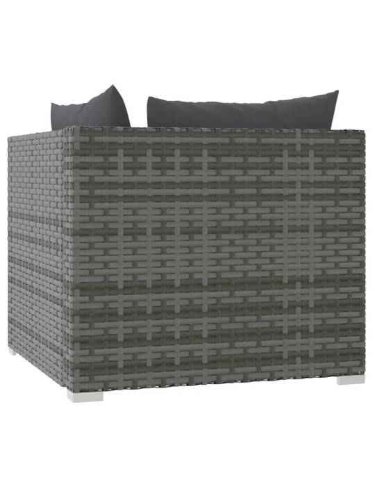 Dvivietė sofa su pagalvėlėmis, pilkos spalvos, poliratanas