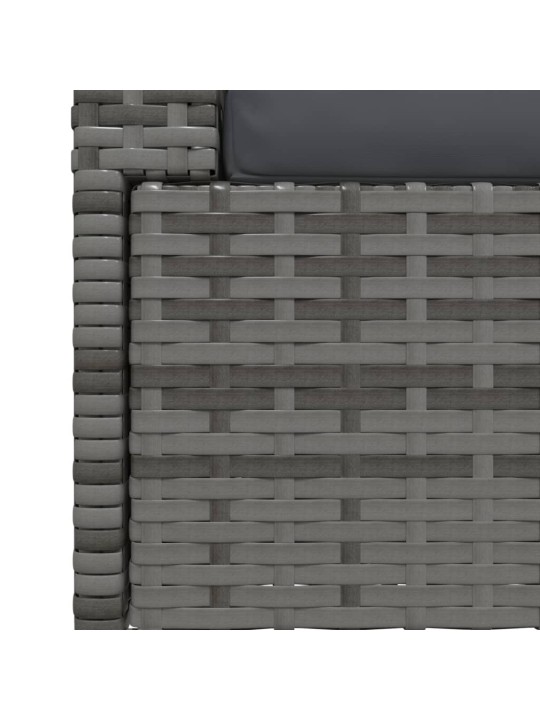 Dvivietė sofa su pagalvėlėmis, pilkos spalvos, poliratanas