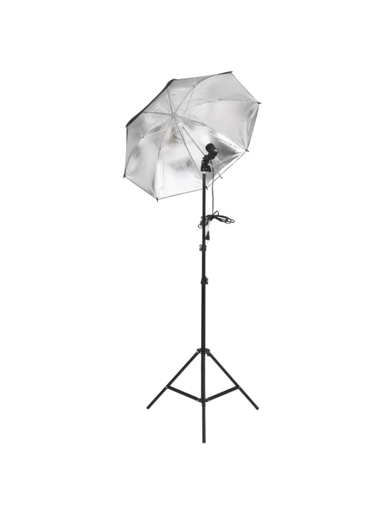 Fotostudijos apšvietimo rinkinys