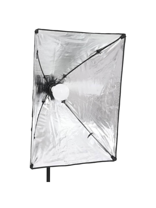 Profesionalūs fotostudijos šviestuvai, 2vnt., 40x60cm