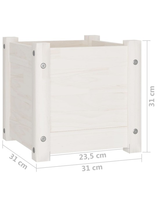 Sodo loveliai, 2vnt., balti, 31x31x31cm, pušies masyvas