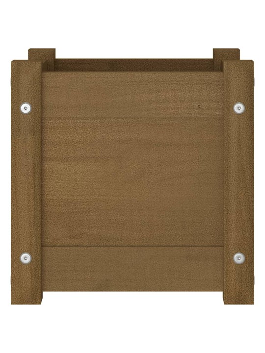 Sodo loveliai, 2vnt., medaus rudi, 31x31x31cm, pušies masyvas