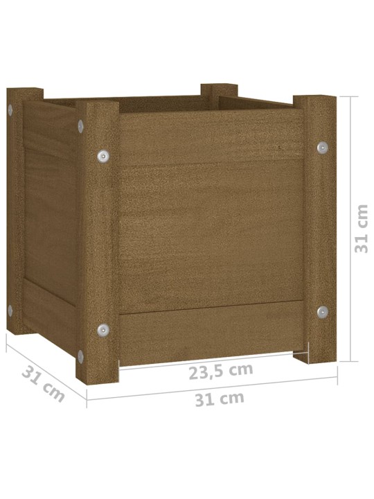 Sodo loveliai, 2vnt., medaus rudi, 31x31x31cm, pušies masyvas
