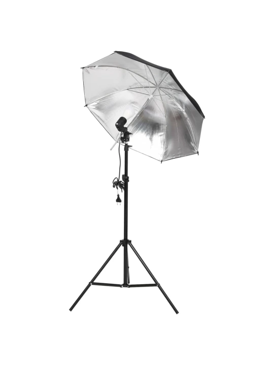 Fotostudijos rinkinys su apšvietimo rinkiniu ir fonu