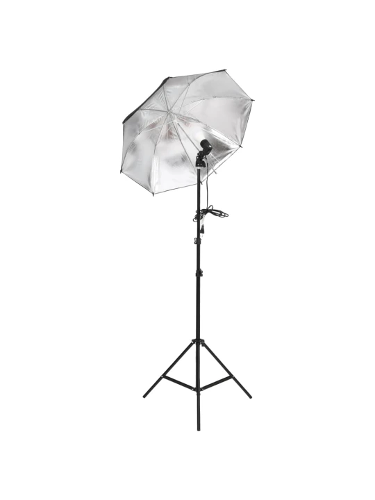 Fotostudijos rinkinys su apšvietimo rinkiniu ir fonu
