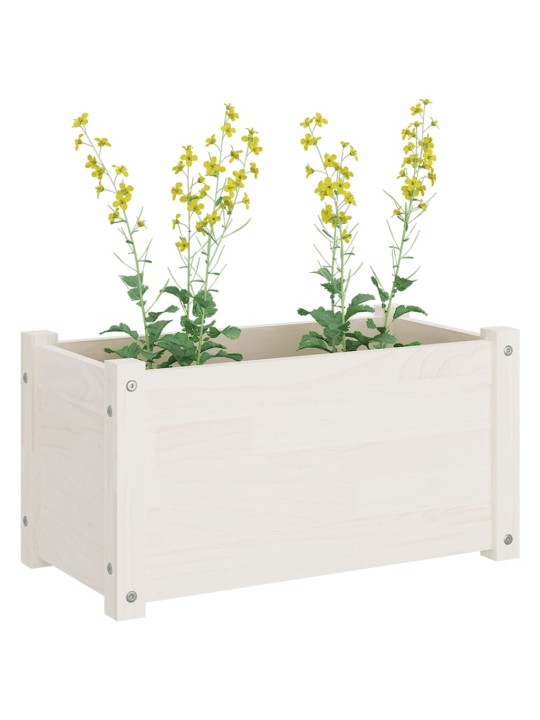 Sodo loveliai, 2vnt., balti, 60x31x31cm, pušies masyvas