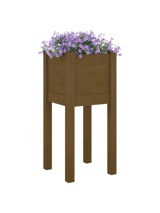 Sodo loveliai, 2vnt., medaus rudi, 31x31x70cm, pušies masyvas