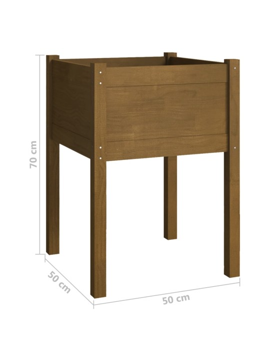 Sodo loveliai, 2vnt., medaus rudi, 50x50x70cm, pušies masyvas