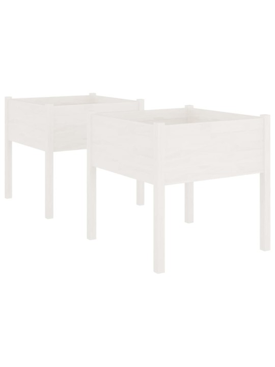 Sodo loveliai, 2vnt., balti, 70x70x70cm, pušies masyvas