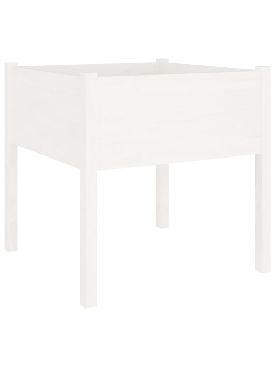 Sodo loveliai, 2vnt., balti, 70x70x70cm, pušies masyvas