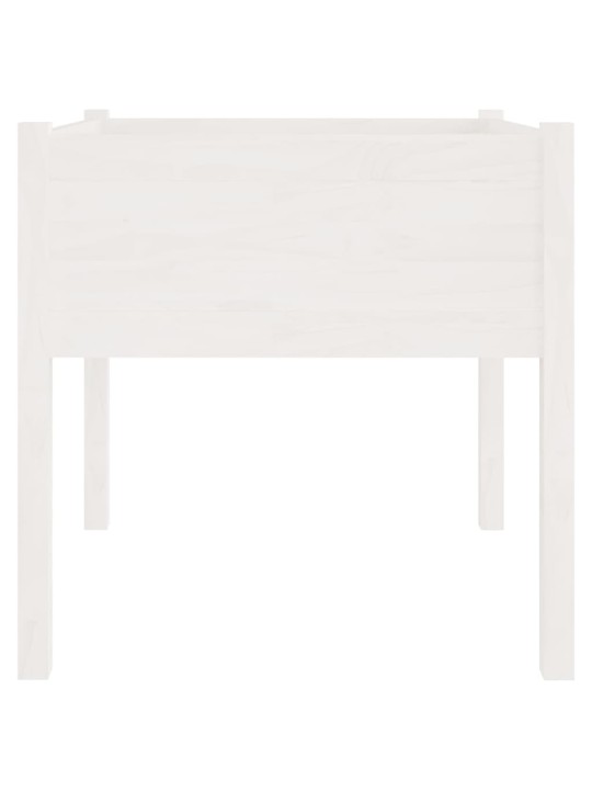 Sodo loveliai, 2vnt., balti, 70x70x70cm, pušies masyvas