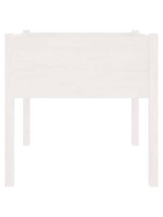 Sodo loveliai, 2vnt., balti, 70x70x70cm, pušies masyvas