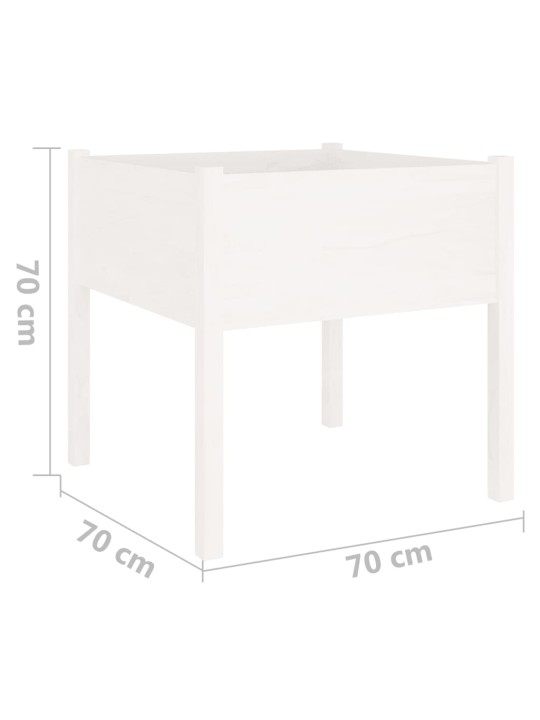 Sodo loveliai, 2vnt., balti, 70x70x70cm, pušies masyvas
