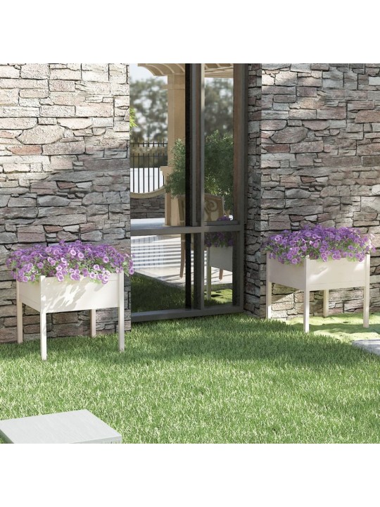 Sodo loveliai, 2vnt., balti, 70x70x70cm, pušies masyvas