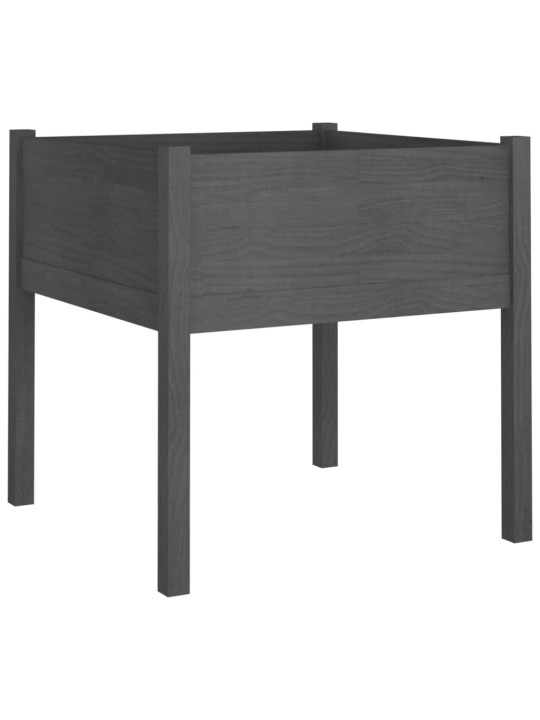 Sodo loveliai, 2vnt., pilki, 70x70x70cm, pušies masyvas