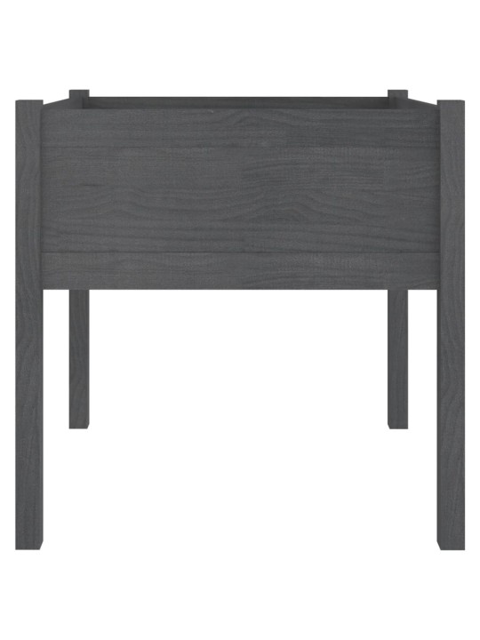 Sodo loveliai, 2vnt., pilki, 70x70x70cm, pušies masyvas