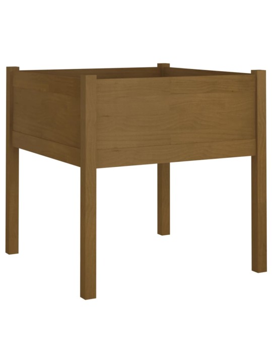Sodo loveliai, 2vnt., medaus rudi, 70x70x70cm, pušies masyvas