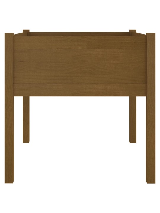 Sodo loveliai, 2vnt., medaus rudi, 70x70x70cm, pušies masyvas