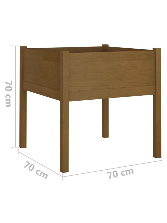 Sodo loveliai, 2vnt., medaus rudi, 70x70x70cm, pušies masyvas