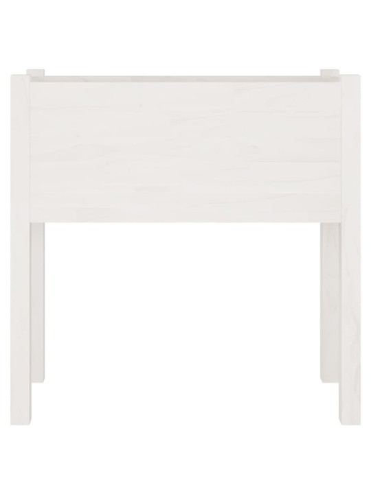 Sodo loveliai, 2vnt., balti, 70x31x70cm, pušies masyvas