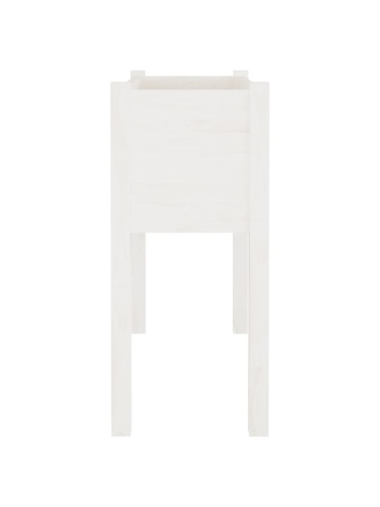Sodo loveliai, 2vnt., balti, 70x31x70cm, pušies masyvas