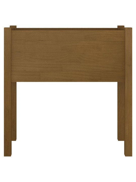 Sodo loveliai, 2vnt., medaus rudi, 70x31x70cm, pušies masyvas