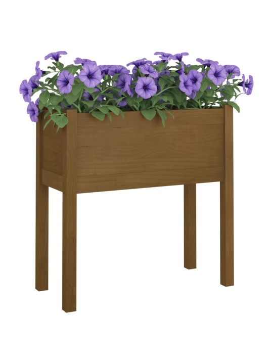 Sodo loveliai, 2vnt., medaus rudi, 70x31x70cm, pušies masyvas