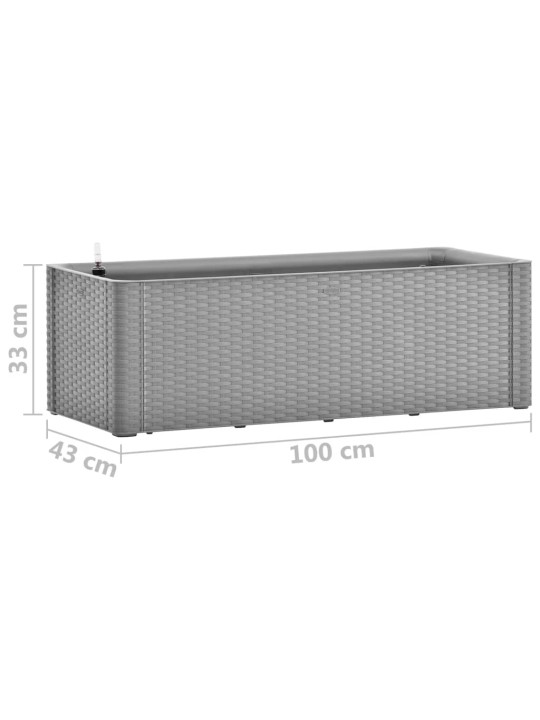 Lovelis su savaiminio laistymo sistema, pilkas, 100x43x33cm