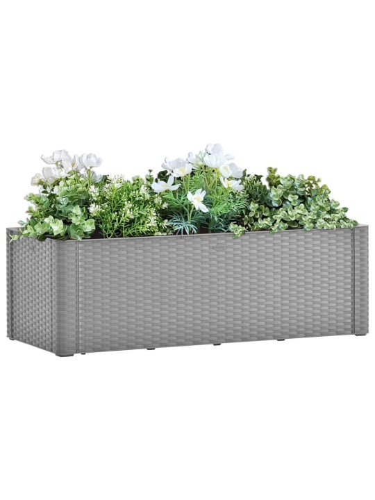 Lovelis su savaiminio laistymo sistema, pilkas, 100x43x33cm