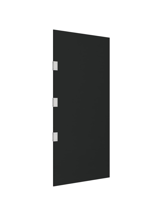 Šoninė sienelė stogeliui durims, juoda, 50x100cm, stiklas