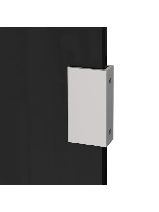 Šoninė sienelė stogeliui durims, juoda, 50x100cm, stiklas