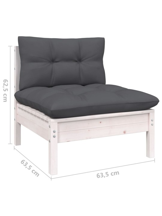 Dvivietė sodo sofa su antracito pagalvėlėmis, pušies masyvas