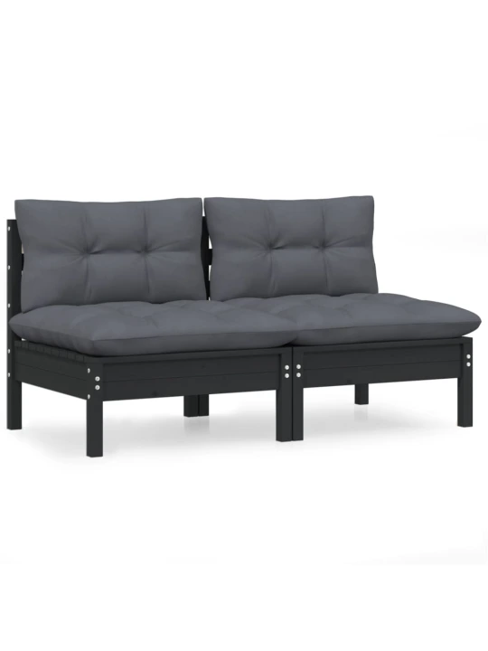 Dvivietė sodo sofa su antracito pagalvėlėmis, pušies masyvas