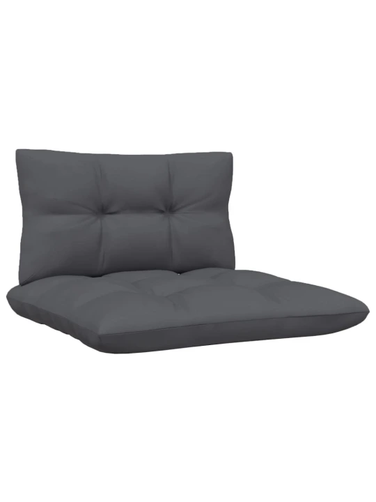 Dvivietė sodo sofa su antracito pagalvėlėmis, pušies masyvas