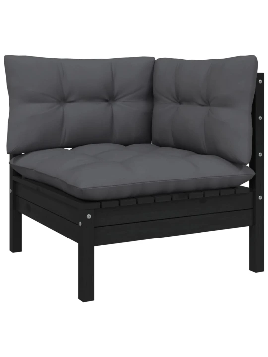Dvivietė sodo sofa su antracito pagalvėlėmis, pušies masyvas