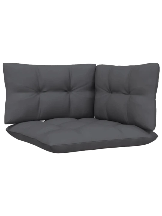 Dvivietė sodo sofa su antracito pagalvėlėmis, pušies masyvas