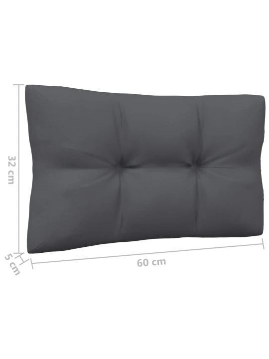 Dvivietė sodo sofa su antracito pagalvėlėmis, pušies masyvas