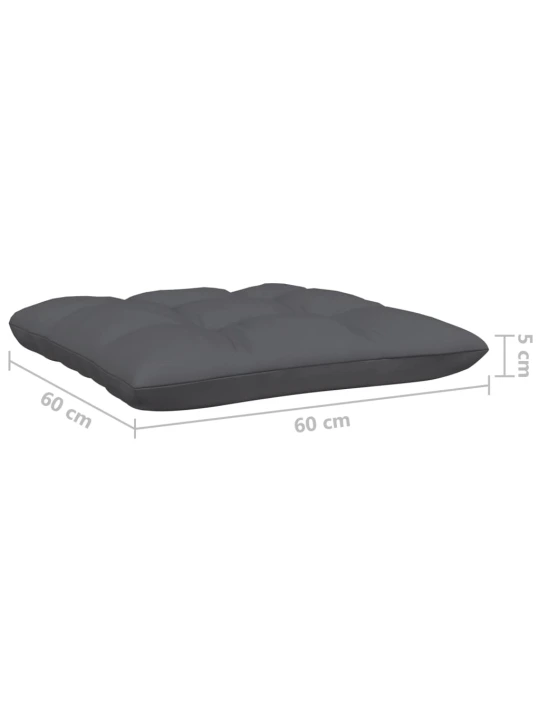 Dvivietė sodo sofa su antracito pagalvėlėmis, pušies masyvas