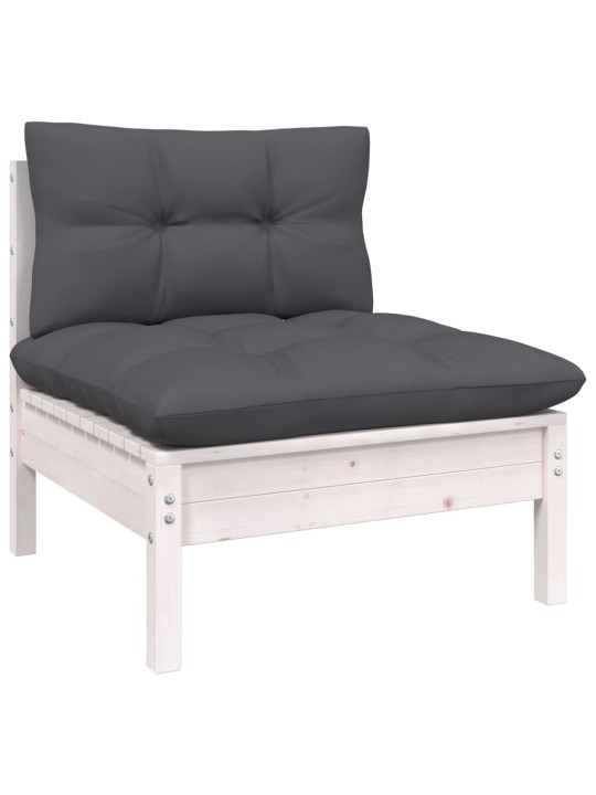 Keturvietė sodo sofa su antracito pagalvėlėmis, pušies masyvas