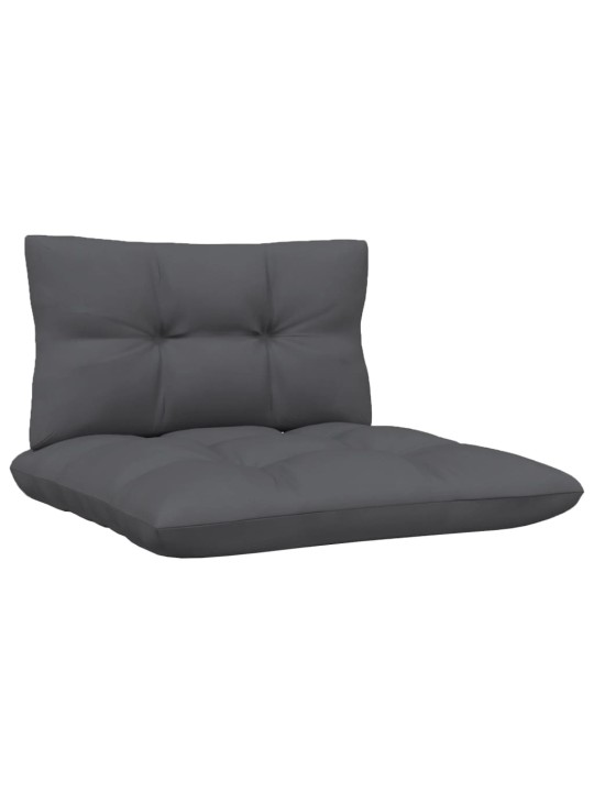 Keturvietė sodo sofa su antracito pagalvėlėmis, pušies masyvas