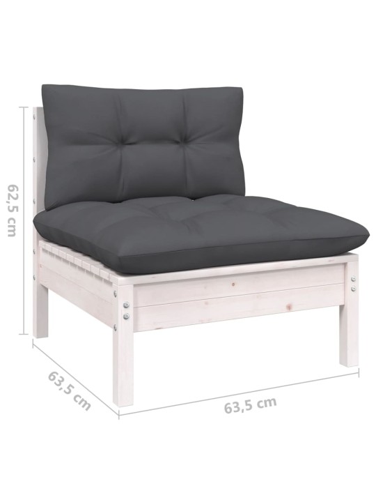Keturvietė sodo sofa su antracito pagalvėlėmis, pušies masyvas