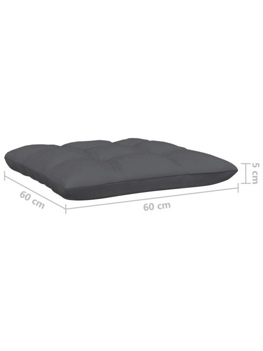 Keturvietė sodo sofa su antracito pagalvėlėmis, pušies masyvas