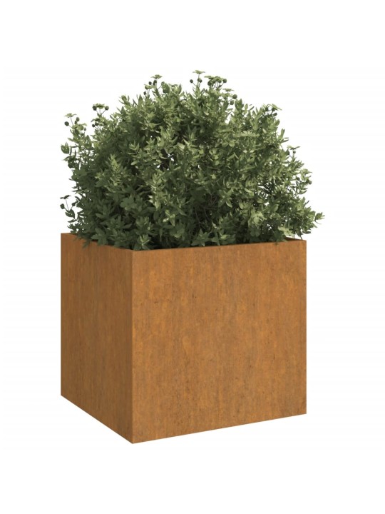 Lovelis, 49x47x46cm, Corten plienas