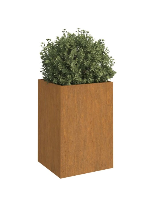 Lovelis, 52x48x75cm, Corten plienas