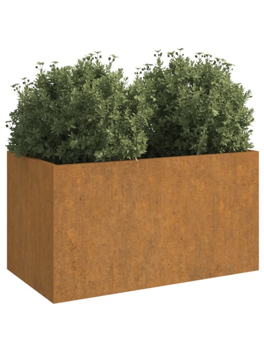 Lovelis, 62x40x39cm, Corten plienas