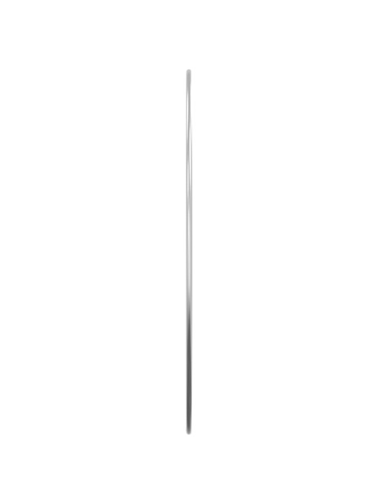 Sieninis veidrodis, sidabrinis, 50cm skersmens, apskritas