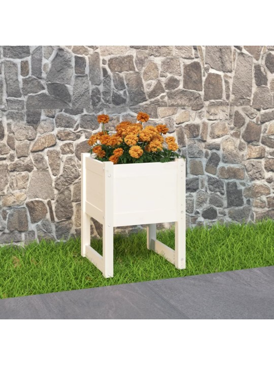 Lovelis, baltos spalvos, 40x40x52,5cm, pušies medienos masyvas
